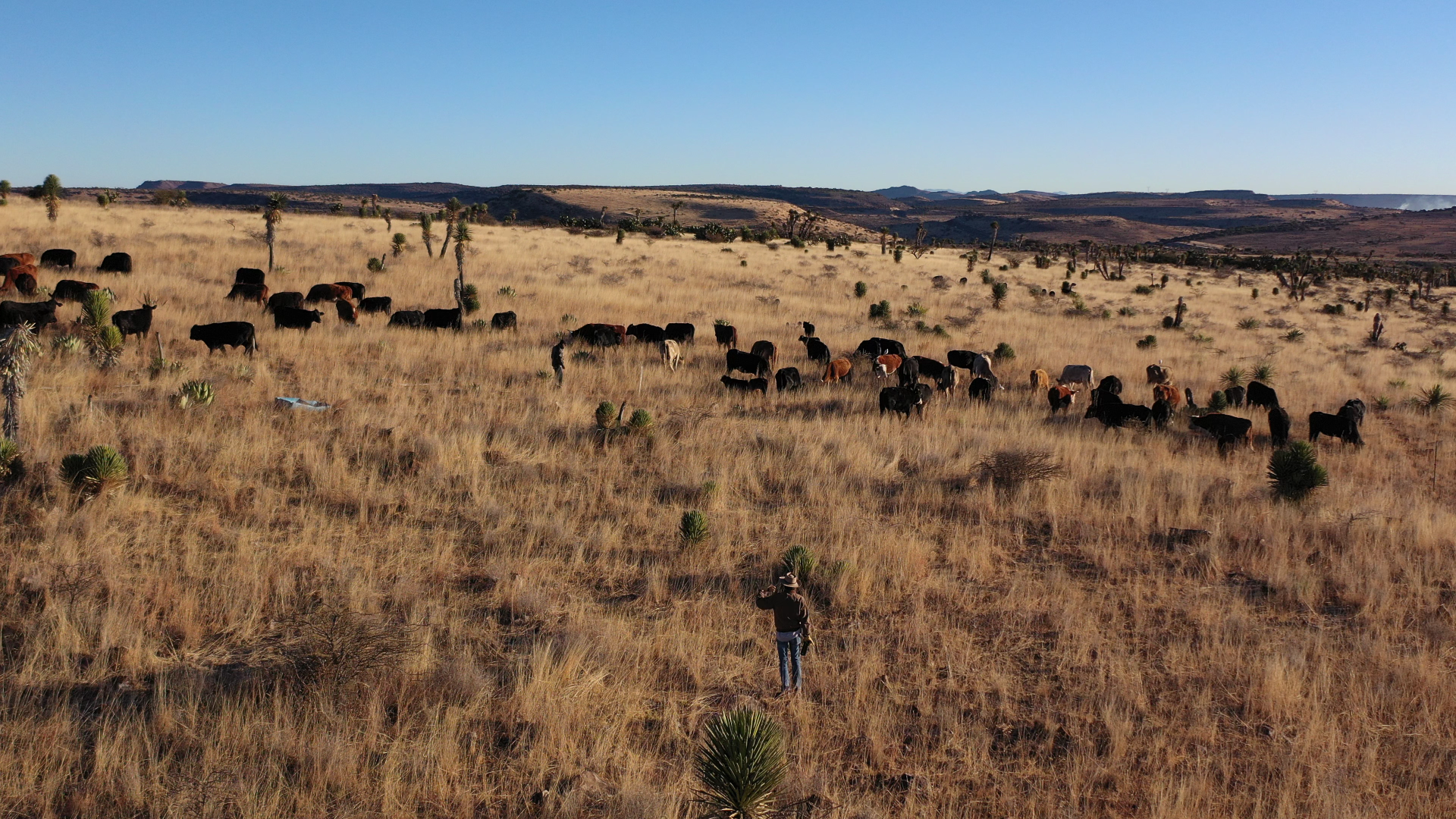 Visita Rancho El Ojo