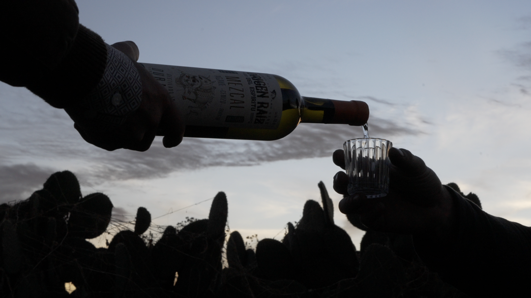 Origen Raíz del Espíritu - Mezcal Cenizo