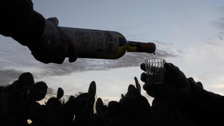 Origen Raíz del Espíritu - Mezcal Cenizo