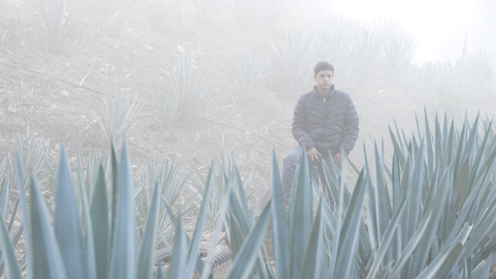 Origen Raíz del Espíritu - Mezcal Chacaleño