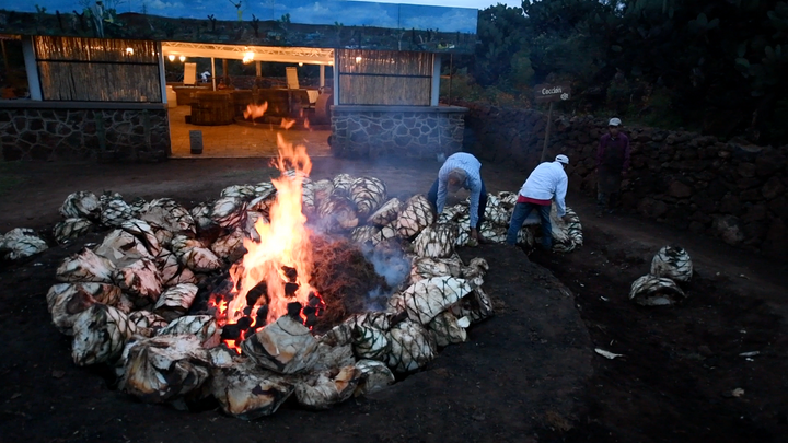 Origen Raíz del Espíritu - Mezcal Pecho