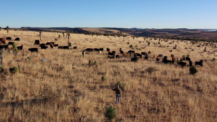 VISITA RANCHO EL OJO PAQUETE PAREJA