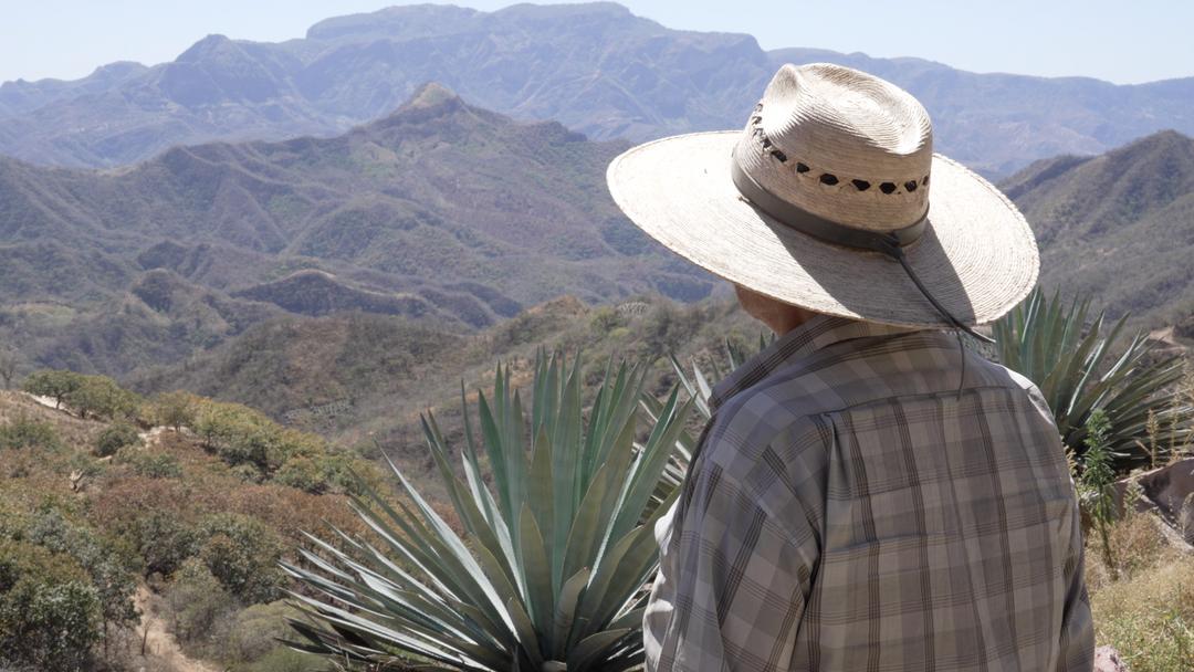 Origen Raíz del Espíritu - Mezcal Chacaleño