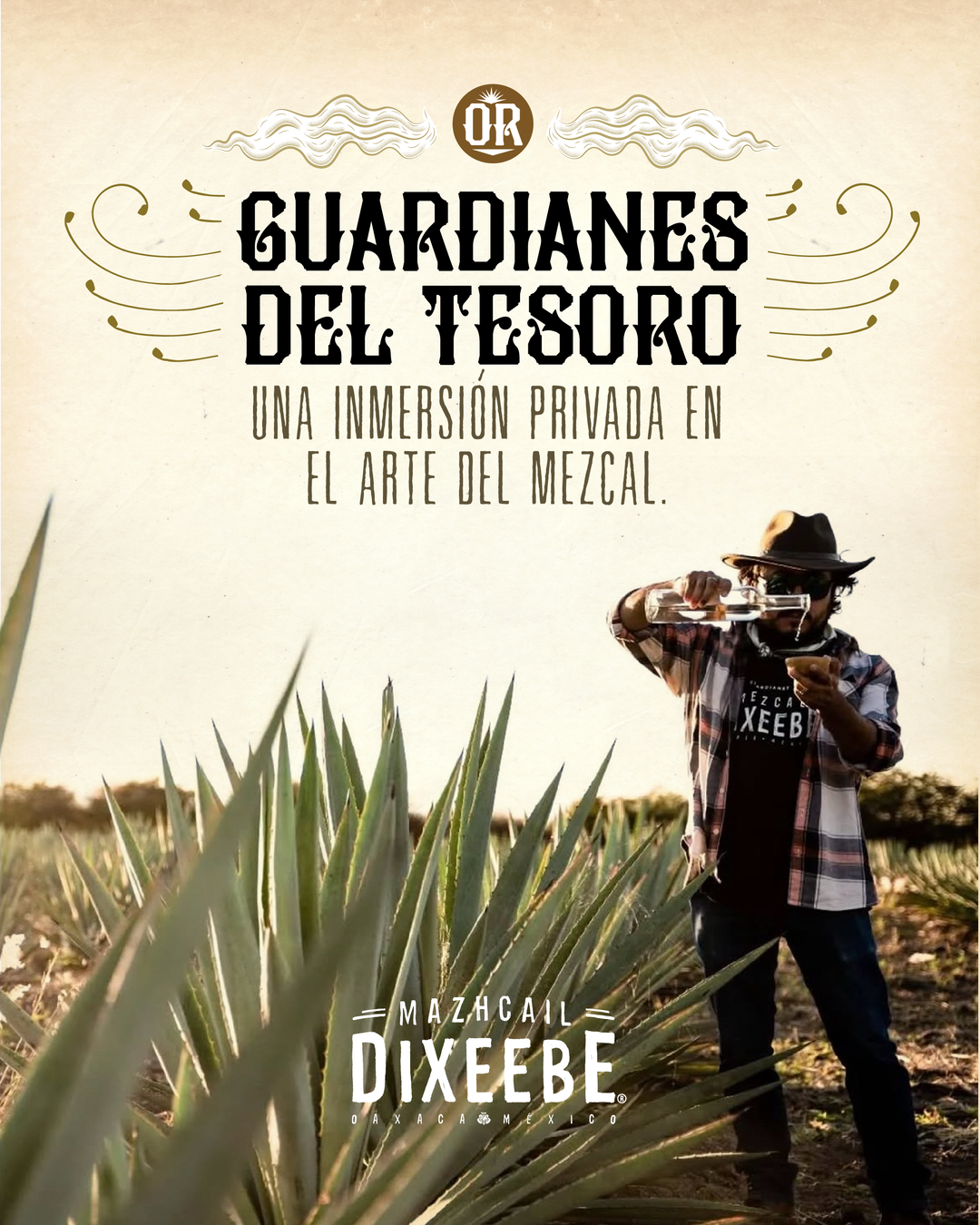 EXPERIENCIA EN OAXACA