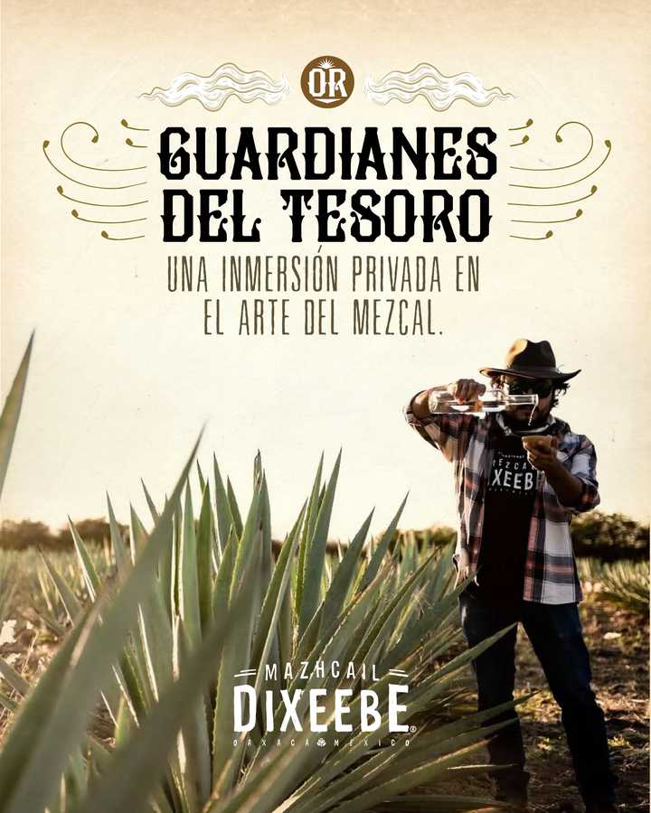 EXPERIENCIA EN OAXACA
