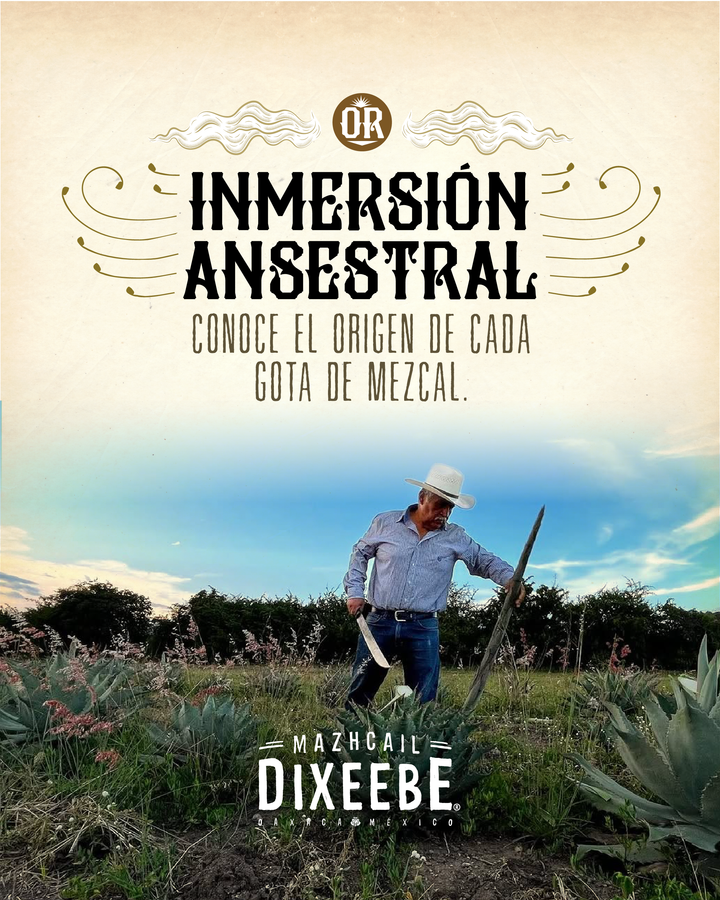 EXPERIENCIA EN OAXACA