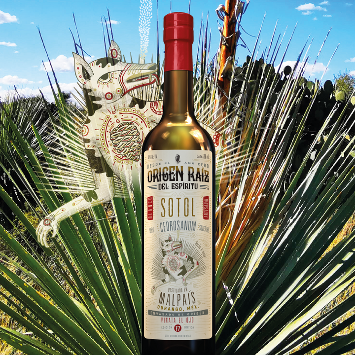 Origen Raíz del Espíritu - Sotol